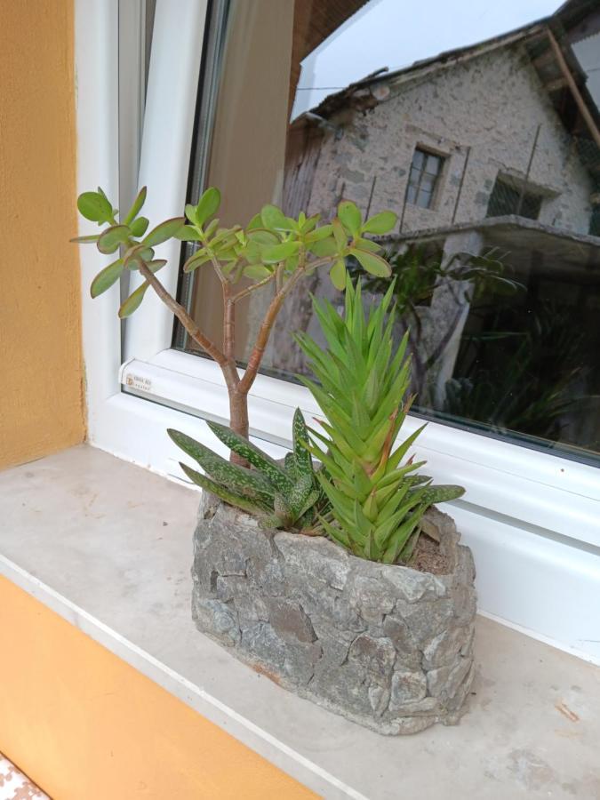 Apartma Metija Kobarid Luaran gambar